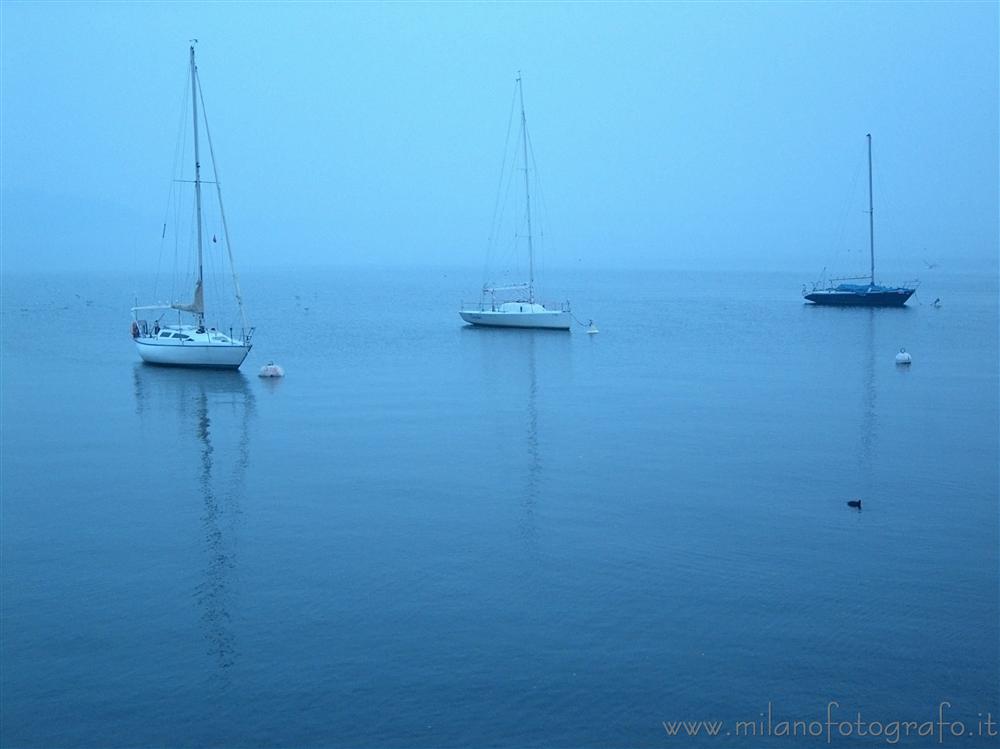 Belgirate (Novara) - Barche sul Lago Maggiore nella nebbia